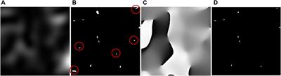 Optical phase singularities: Physical nature, manifestations and applications